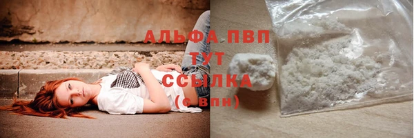 гидра Вяземский