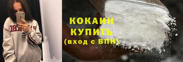 гидра Вяземский