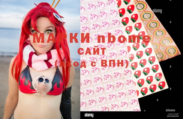 гидра Вяземский