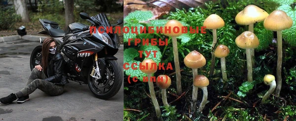 гидра Вяземский
