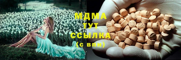 гидра Вяземский