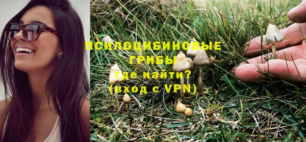 гидра Вяземский