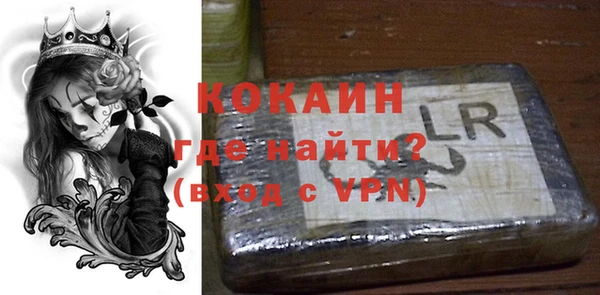 гидра Вяземский