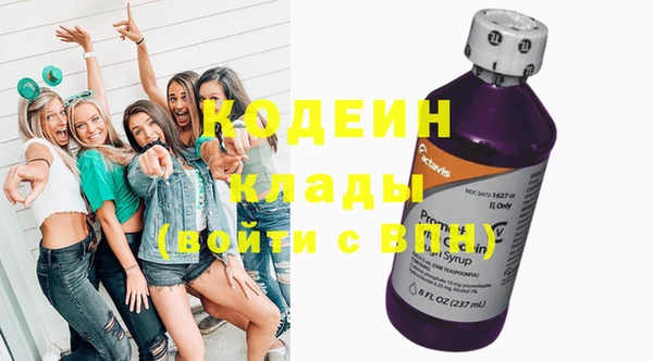 гидра Вяземский