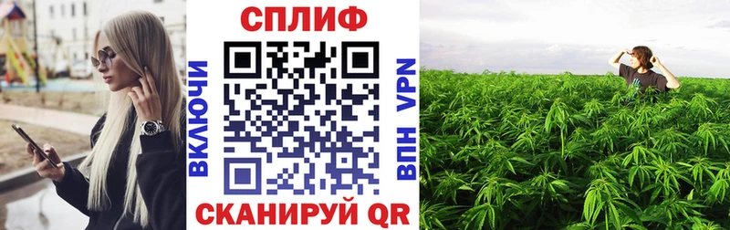 Каннабис конопля  mega рабочий сайт  Шагонар 